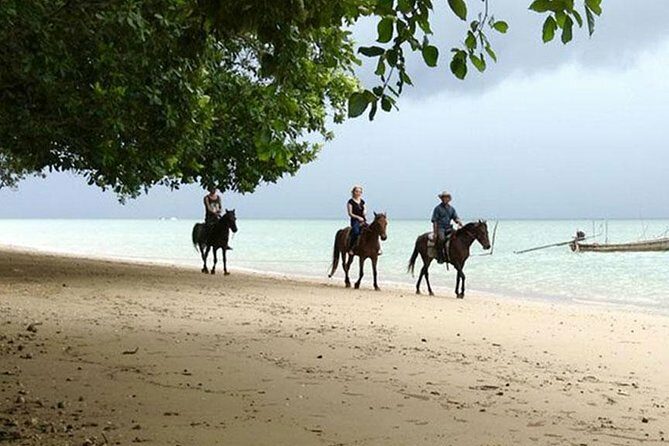 Krabi Horse Riding at The Beach - Key Points