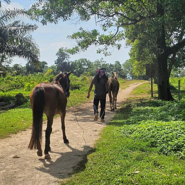 Krabi Horse Riding on the Beach and Atv Extreme - Key Points