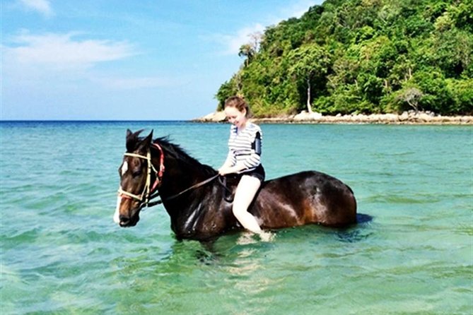 Krabi Horse Riding Program - Good To Know