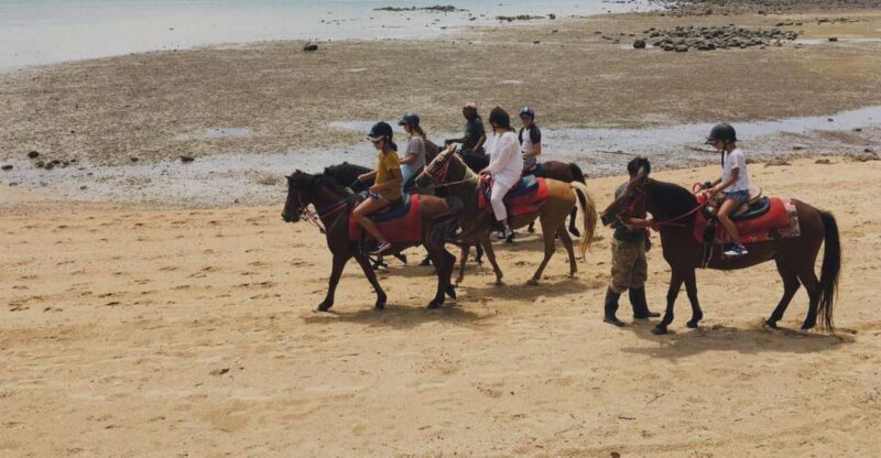 Krabi: Horseback Riding on the Beach - Pricing and Duration