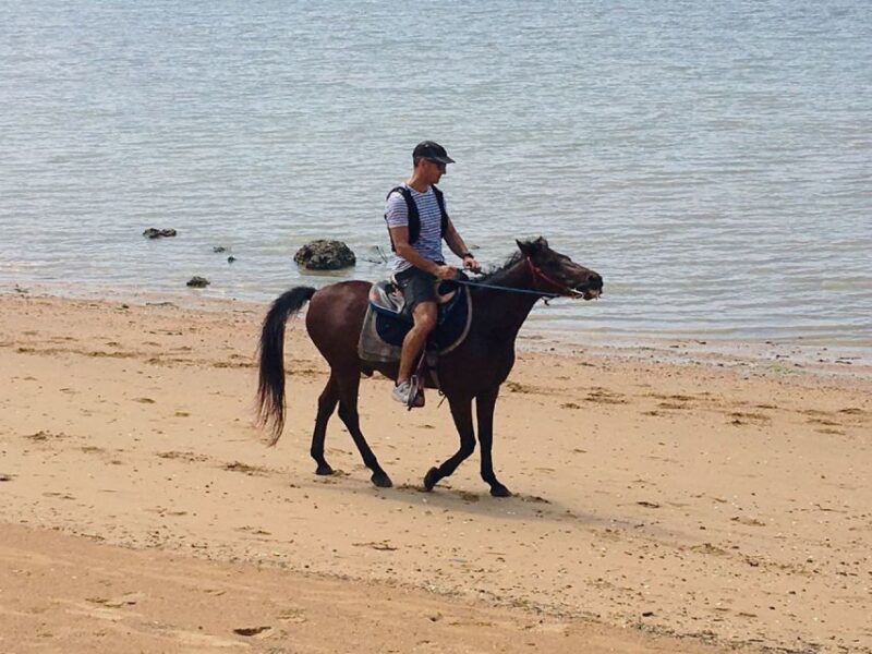 Krabi: Horseback Riding on the Beach - Participant Restrictions