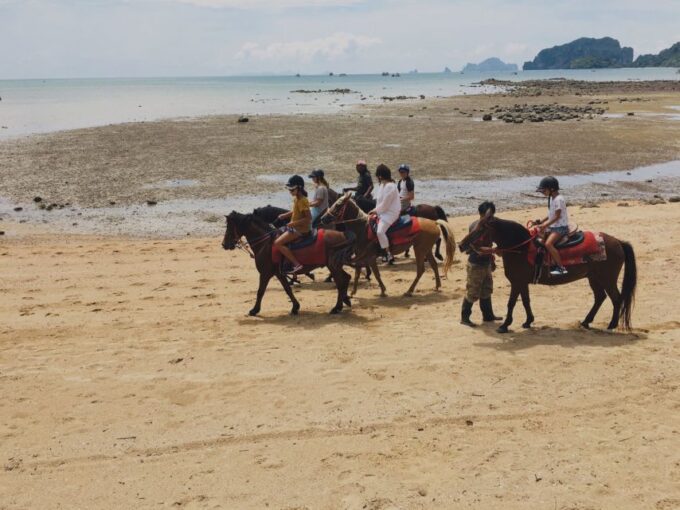 Krabi: Horseback Riding on the Beach - Customer Feedback
