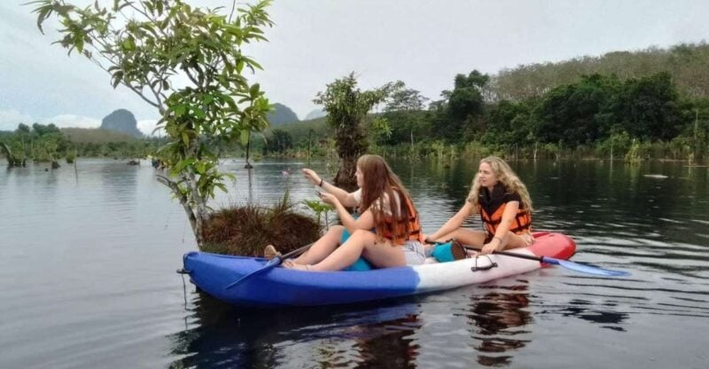 Krabi Hot Spring, Emerald Pool and Kayaking - Included Services
