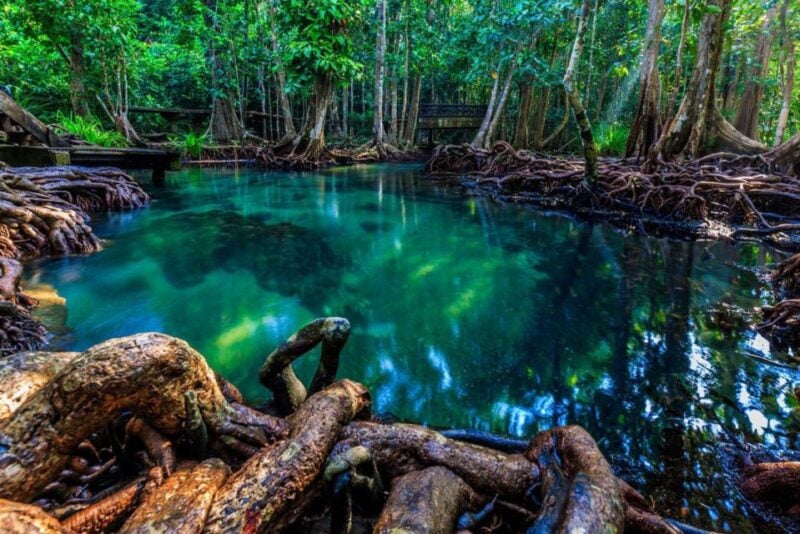 Krabi Hot Spring, Emerald Pool, Tiger Cave and ATV - Inclusions