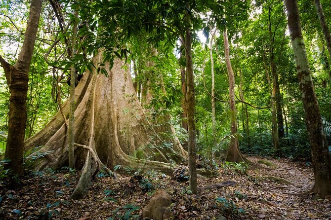 Krabi Jungle Tour to Emerald Pool and Hot Spring - Additional Information