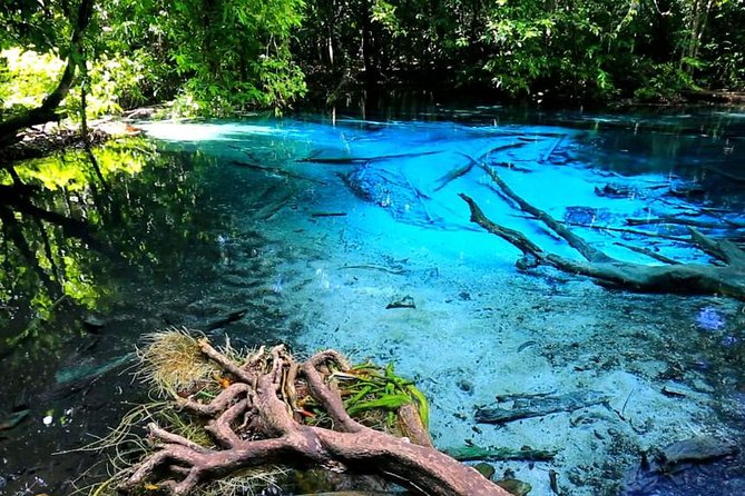 Krabi Jungle Tour With ATV Riding - Pricing and Fees