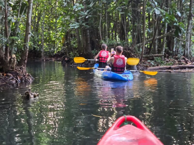 Krabi: Jurassic Jungle Kayak and Phra Nang Cave Beach Tour - Key Points