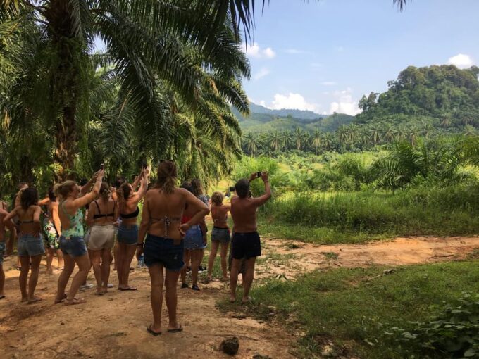 Krabi: Jurassic Jungle Kayak and Phra Nang Cave Beach Tour - Discovering Diamond Cave