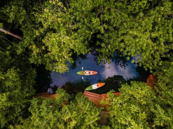 Krabi: Kayak Adventure Through Ao Thalane Mangrove Forest - Frequently Asked Questions