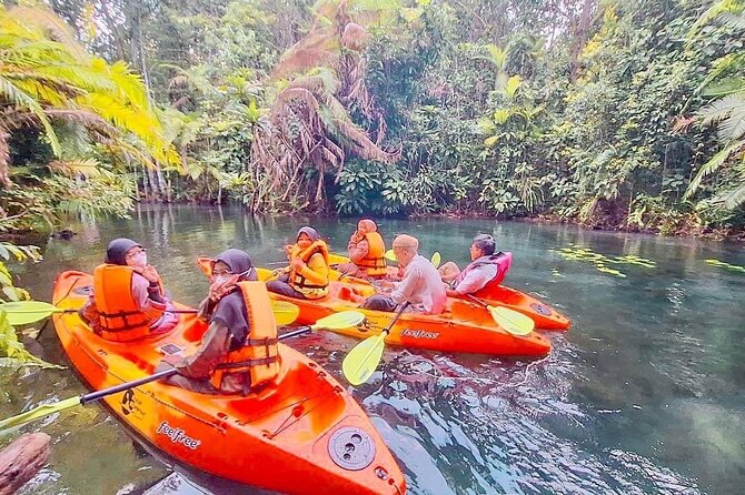 Krabi Kayaking and Swimming Clong Rood - Accessibility and Participation