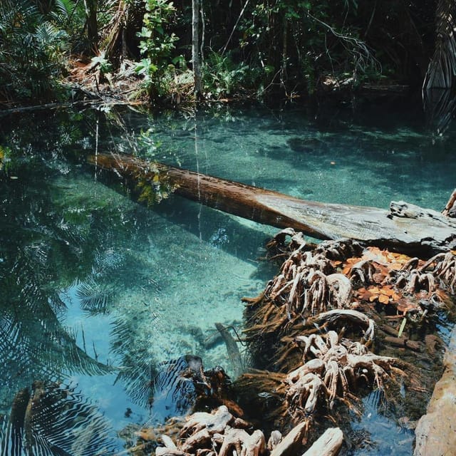 Krabi Kayaking and Swimming Clongrood Tour - Itinerary