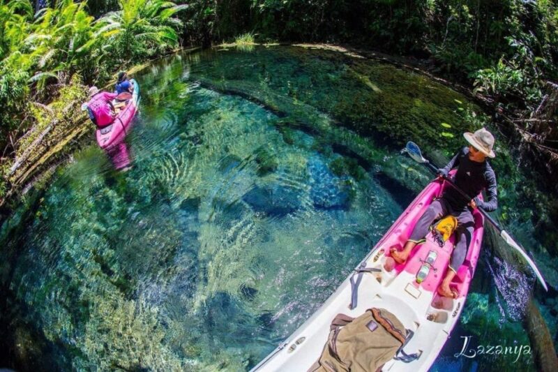 Krabi Kayaking and Swimming Clongrood Tour - Tour Highlights
