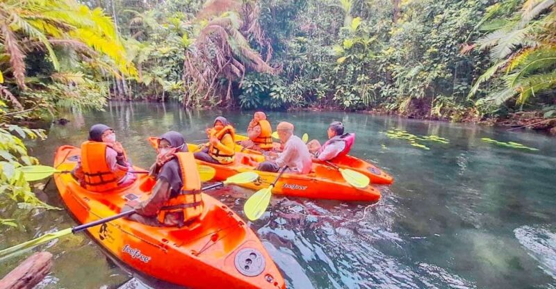 Krabi Kayaking and Swimming Clongrood Tour - Tour Experience and Activities