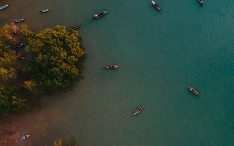 Krabi: Kayaking Ao Thalane and Khaothong Hill Café - Detailed Itinerary