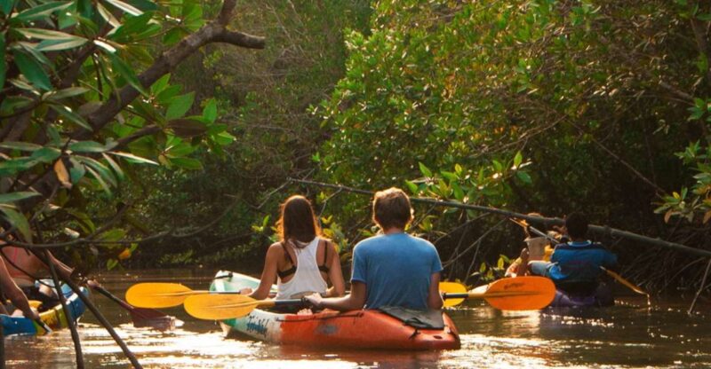 Krabi: Kayaking Ao Thalane and Khaothong Hill Café - Inclusions and Exclusions