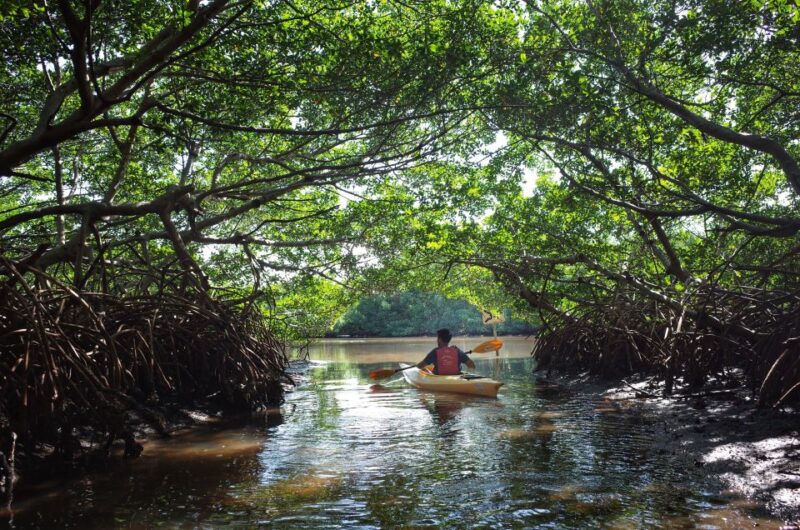 Krabi Kayaking Ao Thalane - Booking Information