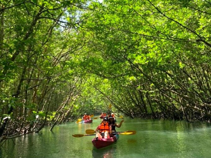 Krabi: Kayaking at Ao Thalane With ATV Riding - Important Health Considerations
