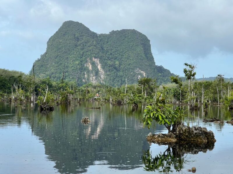 Krabi: Kayaking at Klong Nam Sai, Elephant Bathing & Feeding - Itinerary Details
