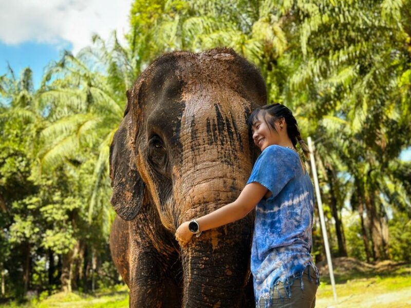 Krabi: Kayaking at Klong Nam Sai, Elephant Bathing & Feeding - Highlights of the Experience