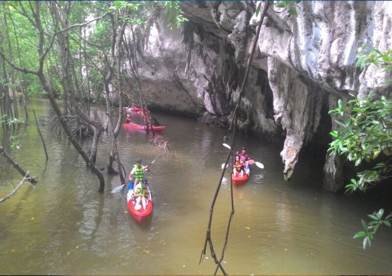 Krabi: Kayaking Sunset at Ao Thalane Tour With BBQ Dinner - Wildlife and Environment