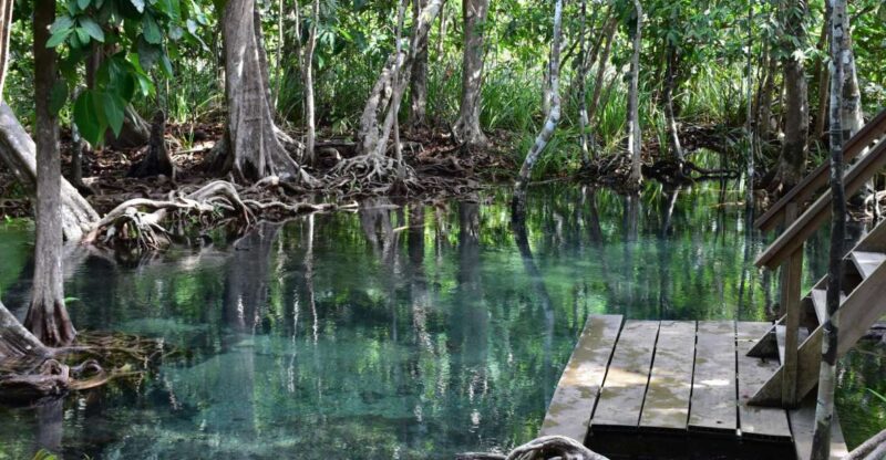 Krabi: Kayaking Tour to Ao Thueak Lagoon With Lunch - Key Points
