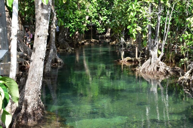 Krabi: Kayaking Tour to Ao Thueak Lagoon With Lunch - Highlights