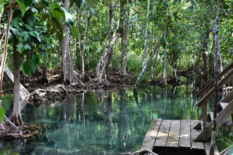 Krabi: Kayaking Tour to Ao Thueak Lagoon With Lunch - Important Information