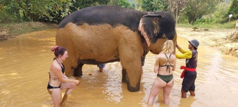 Krabi: Khao Sok Elephant Rescue Center & Bamboo Raft Paddle - Pickup and Stops