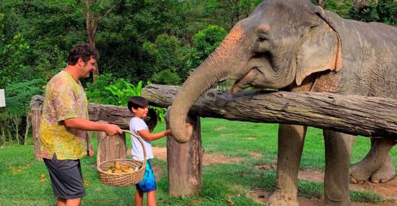 Krabi: Khao Sok Elephant Sanctuary, Rafting Tour, and Lunch - Itinerary and Locations