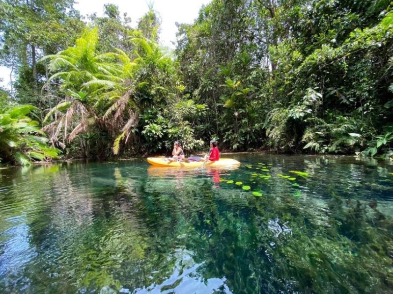 Krabi: Khlong Nam Sai Lagoon With Kayaking & Optional ATV - Experience Highlights