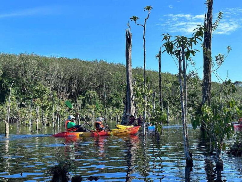 Krabi: Klong Root (Crystal Lake) Kayaking Tour - Key Points