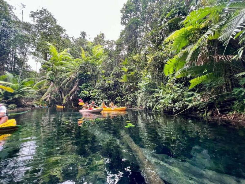 Krabi: Klong Root (Crystal Lake) Kayaking Tour - Kayaking Experience