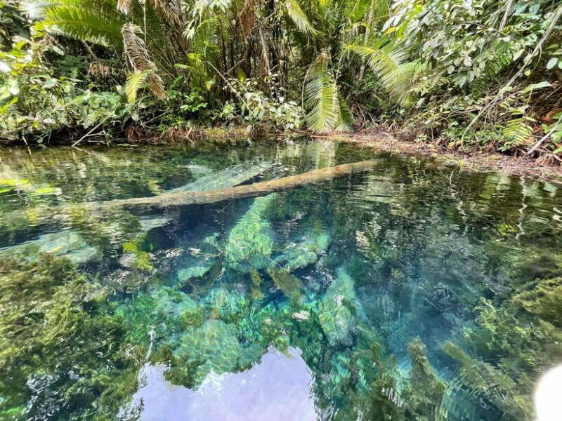 Krabi: Klong Root (Crystal lake) Kayaking tour - Why This Tour Works Well for Travelers