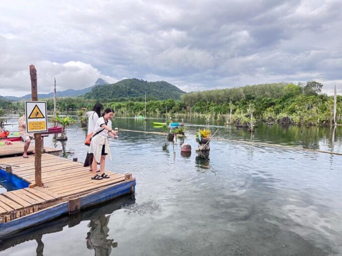 Krabi: Klong Root Kayaking Viewpoint,Fish Feeding and More - Frequently Asked Questions