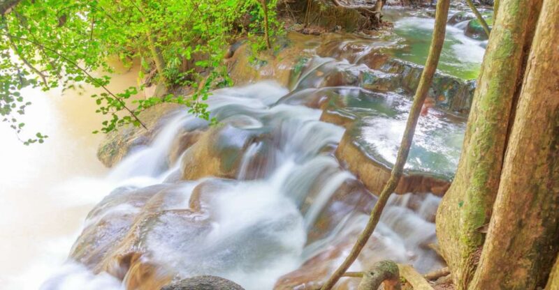 Krabi: Klongtom Hot Spring, Emerald Pool and Tiger Cave Tour - Key Points