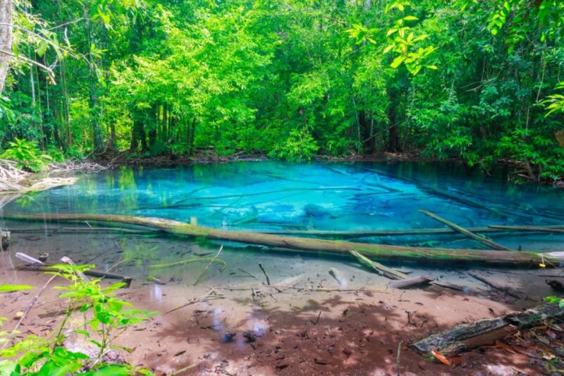 Krabi: Klongtom Hot Spring, Emerald Pool and Tiger Cave Tour - Klongtom Hot Springs