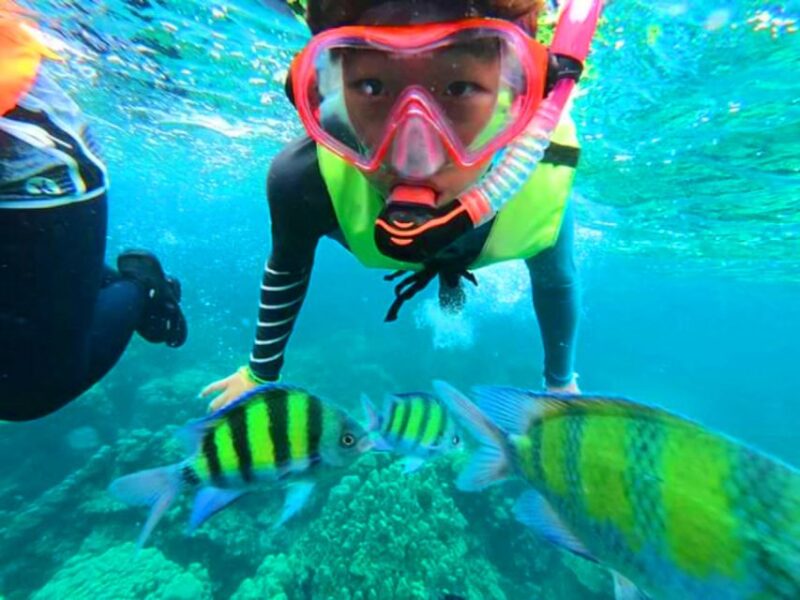 Krabi: Koh Rok & Koh Haa Hidden Snorkeling Tour by Speedboat - Highlights of the Tour
