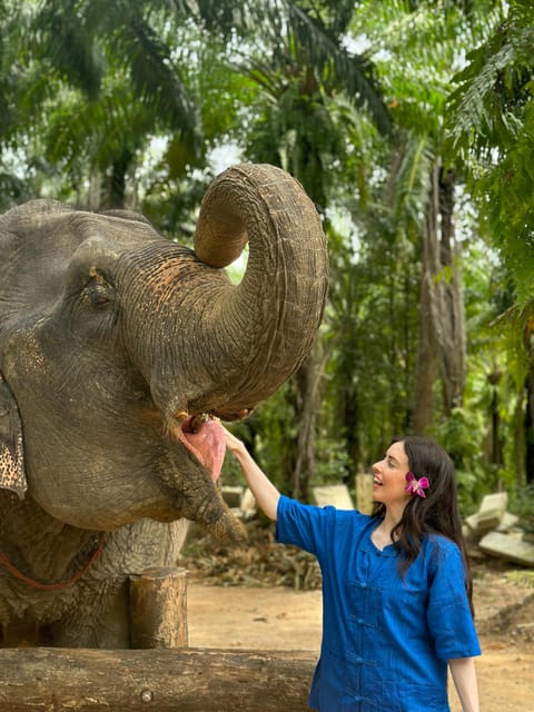 Krabi Mangrove Kayak &Elephant Shelter With Private Transfer - Educational Insights