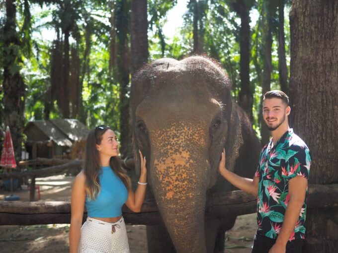 Krabi Mangrove Kayak &Elephant Shelter With Private Transfer - Frequently Asked Questions