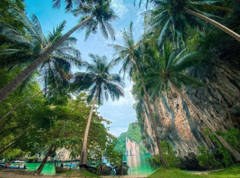 Krabi One-Day Trip: Hong Island Speed Boat - Included Transportation