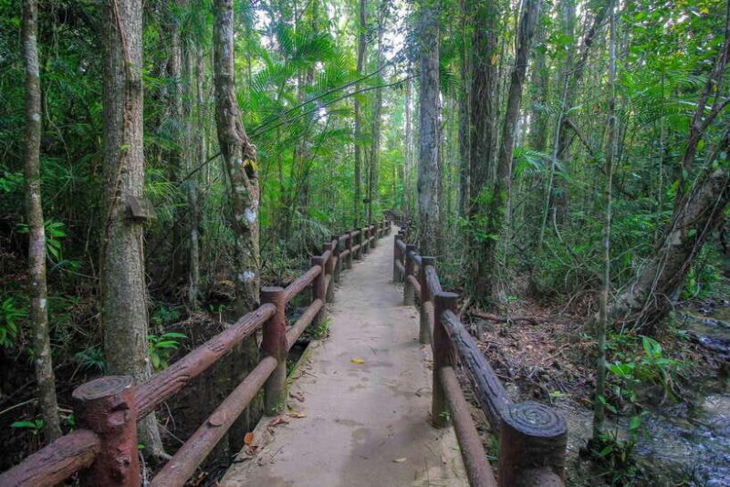 Krabi Outback Explorer to Emerald Pool & Wareerak Hotspring - Itinerary and Highlights