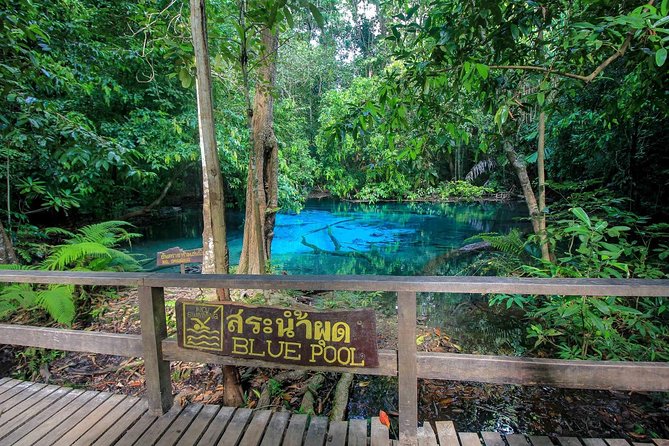 Krabi Outback Explorer to Emerald Pool, Wareerak Hotspring and Beyond - Tour Experience Feedback