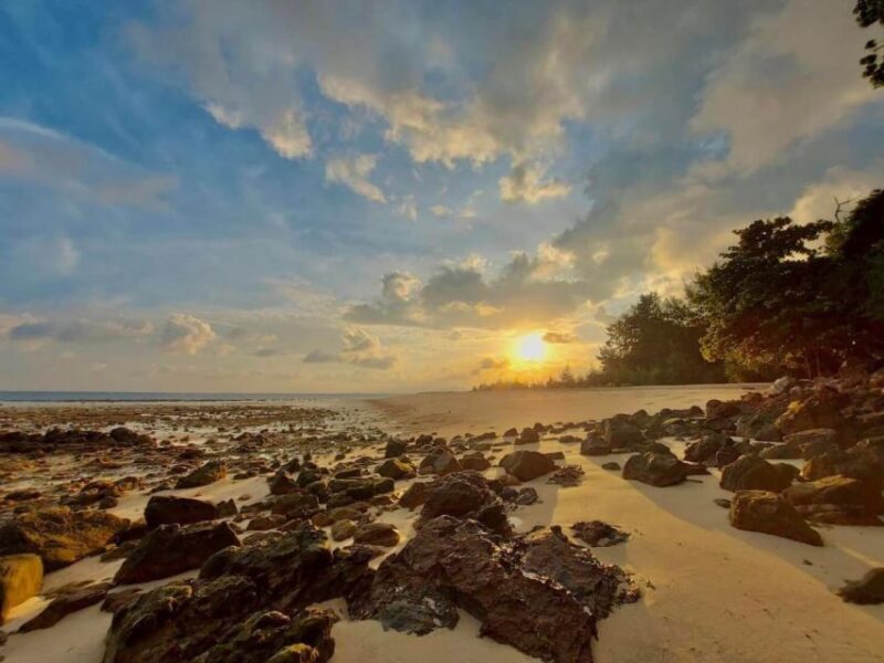 Krabi: Phi Phi Early Bird & 4 Islands Day Tour by Speedboat - Itinerary Highlights