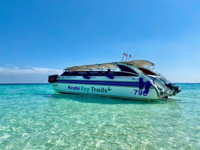 Krabi: Phi Phi Early Bird & 4 Islands Day Tour by Speedboat - Marine Life Encounters
