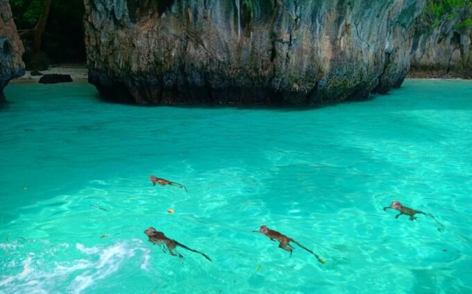 Krabi: Phi Phi Early Bird & 4 Islands Day Tour by Speedboat - Frequently Asked Questions