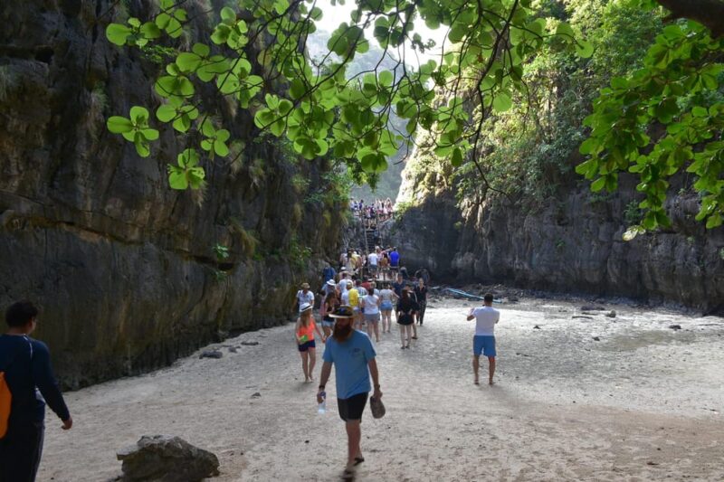 Krabi: Phi Phi Islands & Maya Bay Speedboat Tour With Lunch - Restrictions and Inclusions
