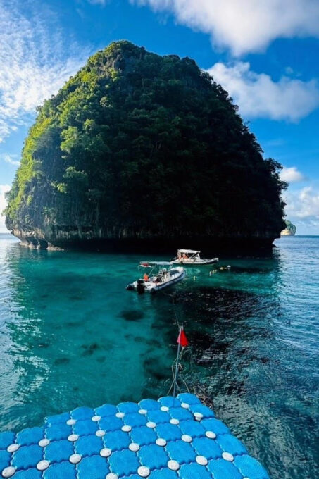 Krabi: Phi Phi Islands & Maya Bay Speedboat Tour With Lunch - National Park Entry Fees