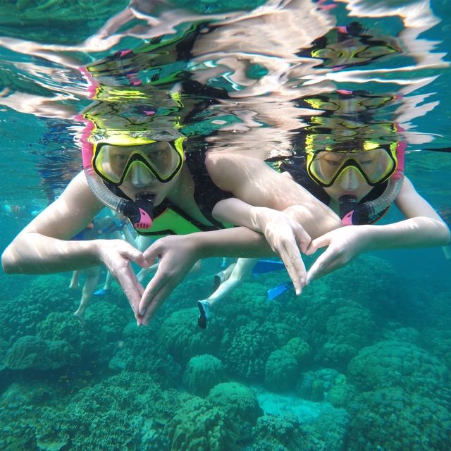 Krabi: Phi Phi Islands Speedboat Tour With Buffet Lunch - Customer Reviews and Ratings