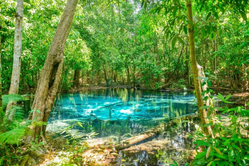 Krabi Private Escape: Emerald Pool, Hot Springs & Tiger Cave - Tranquil Beauty of Emerald Pool
