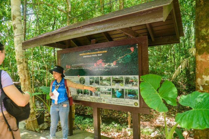 Krabi Private Escape: Emerald Pool, Hot Springs & Tiger Cave - Reliable Private Transfers and Transport